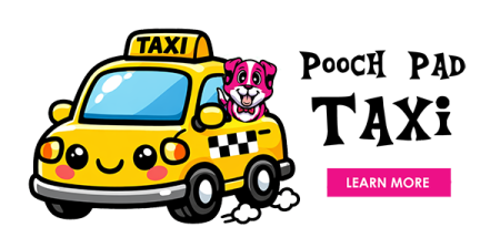 Pet-Taxi-banner-w-words-600X299